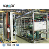 Machine à glace de plaque d'acier inoxydable de contrôle de PLC de haute qualité d'ICESTA 10 tonnes