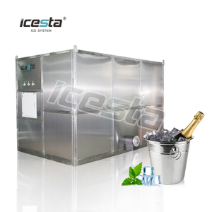Machine de glaçons en acier en acier inoxydable opérationnel facile à opération de 5 tas / jour de la Chine 