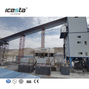 Usine de glace en écailles conteneurisée avec stockage automatique de la glace, système de livraison et de pesage (tout-en-un) 