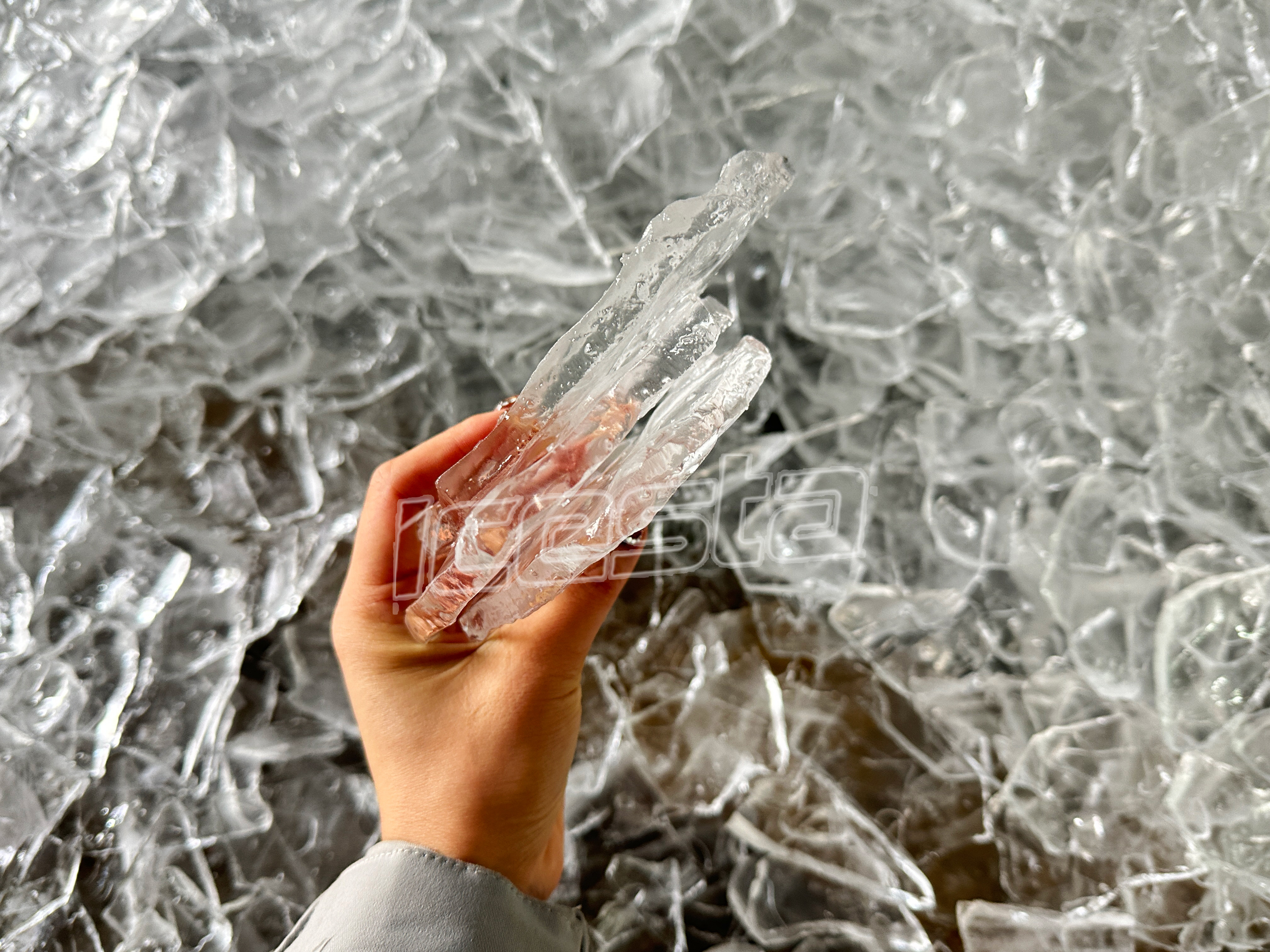 photo_20231220154906