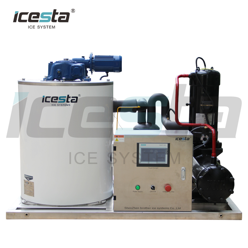 Machine de fabrication de glace en flocons d\'acier inoxydable Icesta 3 tonnes 5t pour le refroidissement des aliments