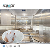 ICESTA Long Service Life Evergy Saving 120 tonnes Container Flake Ice Machine Plant avec stockage de glace automatique et Système de livraison de glace Râteau 480000 $