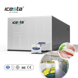 Icesta Industrial Double Spiral Freezer pour les crevettes de fruits de mer, technologie de congélation très fiable et très fiable 