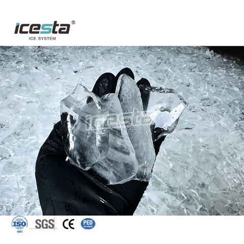 Machine à glace en plaques industrielle automatique ICESTA 10 tonnes 304SS