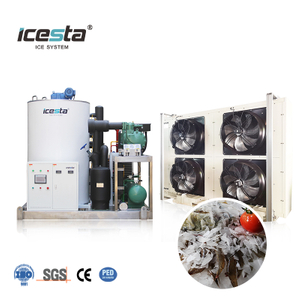 Machine à glace en flocons d'eau de mer à refroidissement par air terrestre ICESTA de 3 à 10 tonnes