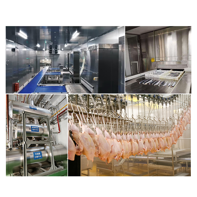 Système de refroidissement à glace et ammoniac multi-types ICESTA pour les fruits de mer et la pêche