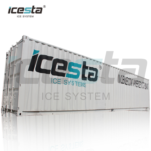 Usine de glace en flocons conteneurisée avec stockage automatique de la glace et système de livraison et de pesée (tout-en-un)