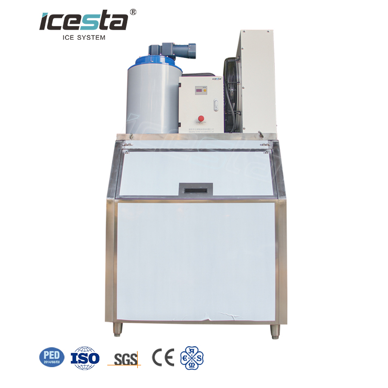 Machine à glace en flocons ICESTA 1 tonne (1000 kg) SS304 pour poisson