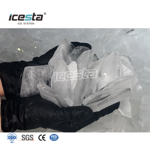Machine à glace en plaque d'acier inoxydable de haute qualité ICESTA de 1 tonne avec contrôle PLC