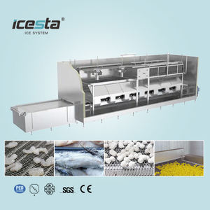 ICESTA IQF Traite Line Automic Cryogénic Durian Quick Freeze Tunnel Freezer pour l'industrie de la transformation des aliments