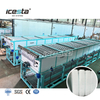 Machine à glace en bloc à refroidissement direct ICESTA de 20 à 30 tonnes
