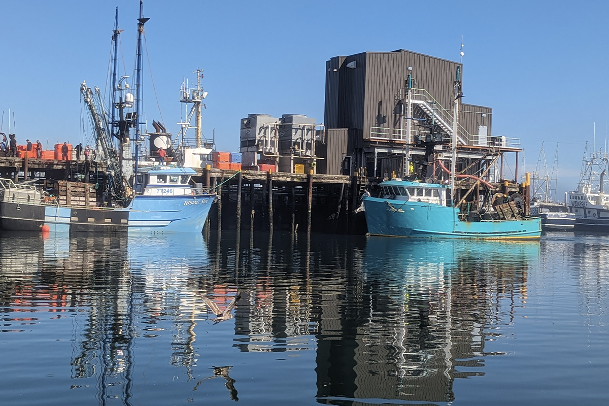 Comment choisir la bonne machine à glace en écailles pour les opérations de pêche commerciale