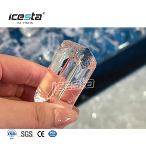 Machine à glace en tube commerciale ICESTA de 1 à 5 tonnes