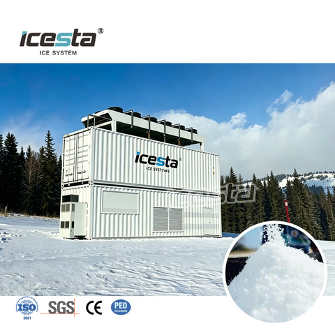 Système de neige artificielle toutes saisons économique du fabricant professionnel ICESTA