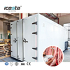 Industrial Air Blast congélateur travaillant un système de congélation automatique pour le poulet, stockage de poisson 