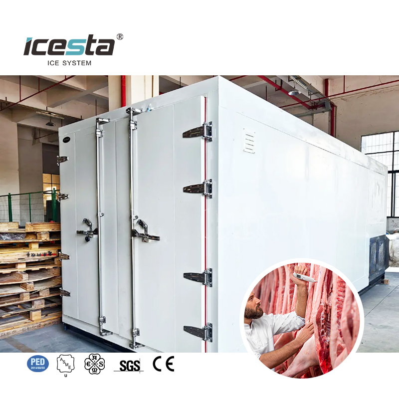 Industrial Air Blast congélateur travaillant un système de congélation automatique pour le poulet, stockage de poisson 