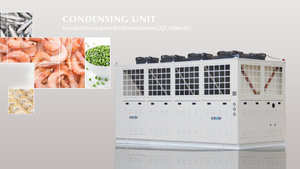 Contactez Horizontal Freezer & Condensing Unit Icesta Low Temp 20000 - 50000 $