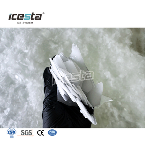 Machine à glace en flocons commerciale ICESTA 500 kg 0,5 tonne | Pour le poisson et les fruits de mer