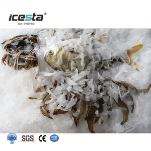 Machine à glace en flocons d'eau salée marine ICESTA 1-5 tonnes pour bateau
