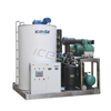 Machine de glace en flocons de refroidissement à air ICESTA 15T 35000 $ - 50000 $