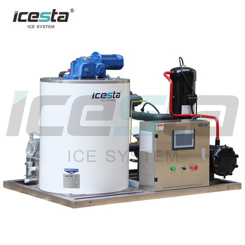 Machine de fabrication de glace en flocons d'acier inoxydable Icesta 3 tonnes 5t pour le refroidissement des aliments