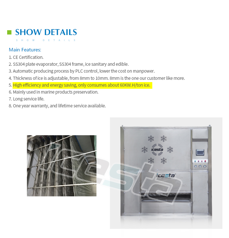 Icesta 10 tonnes Machine de glace de plaque en acier inoxydable, durée de vie automatique de haute qualité 