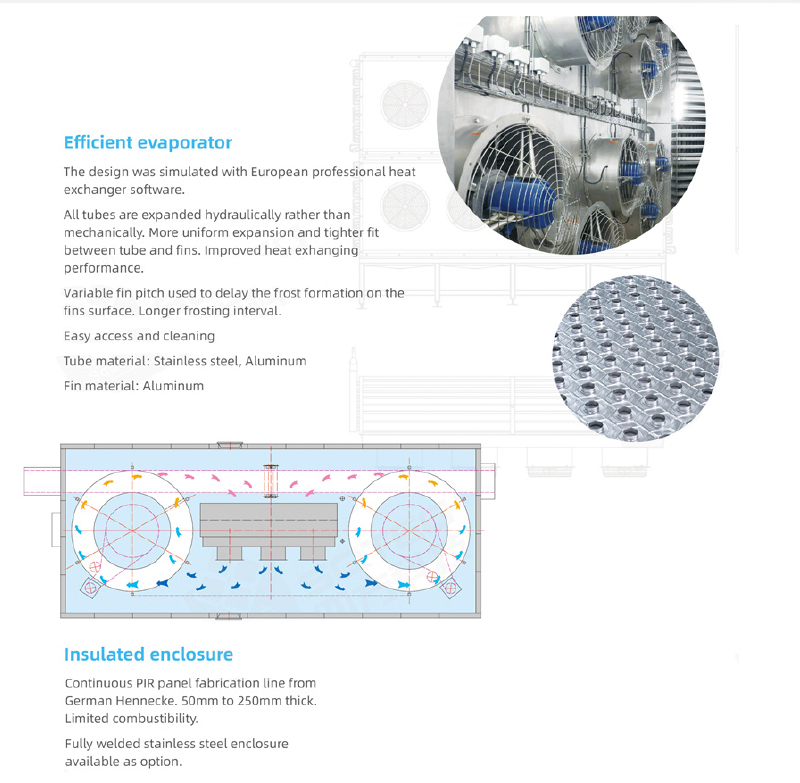 ICESTA Factory Prix faible consommation à haute efficacité IQF MACHINE BOEE FIGS DE BOEE AUTALATIQU