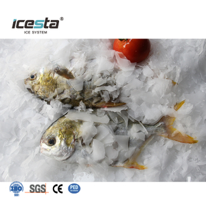 ICESTA Machine à glace en flocons en acier inoxydable de qualité alimentaire de 3 à 10 tonnes par jour