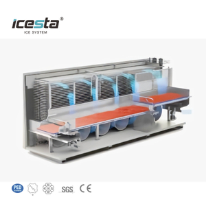 Icesta Automic Industrial Tunnel Freezer pour refroidir les poissons, une durée de vie à long terme économe en énergie à haute productivité
